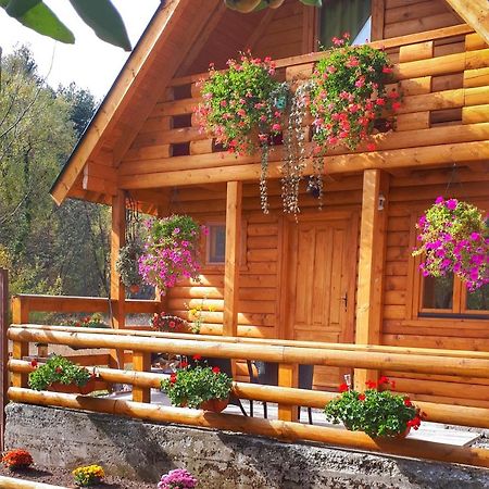 Villa Brvnara Borovik Cetinje Exterior foto