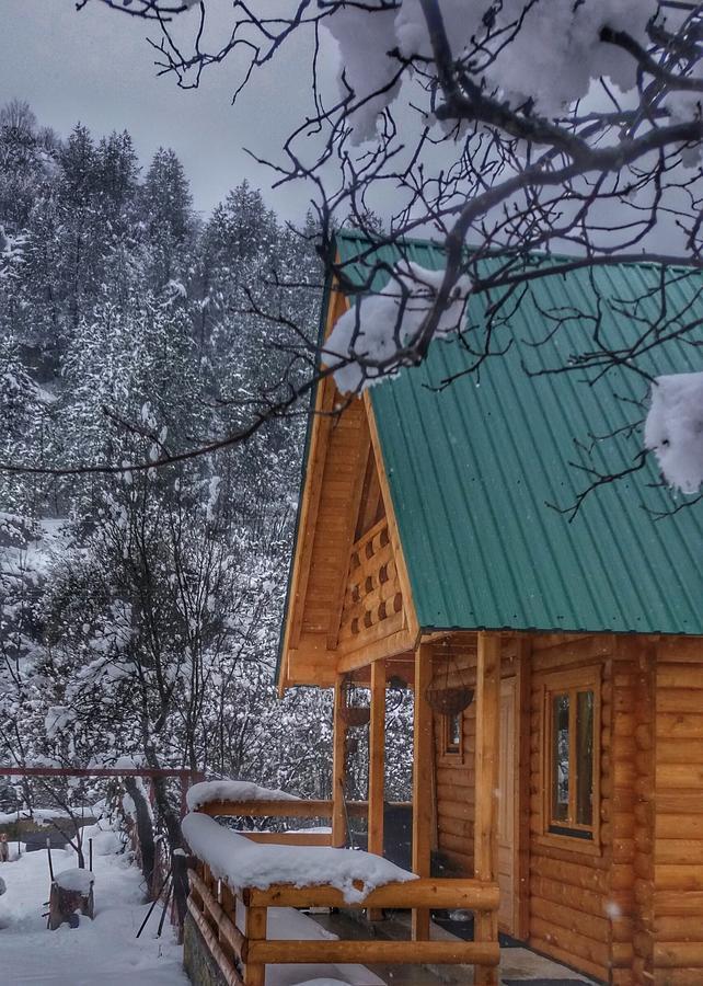 Villa Brvnara Borovik Cetinje Exterior foto
