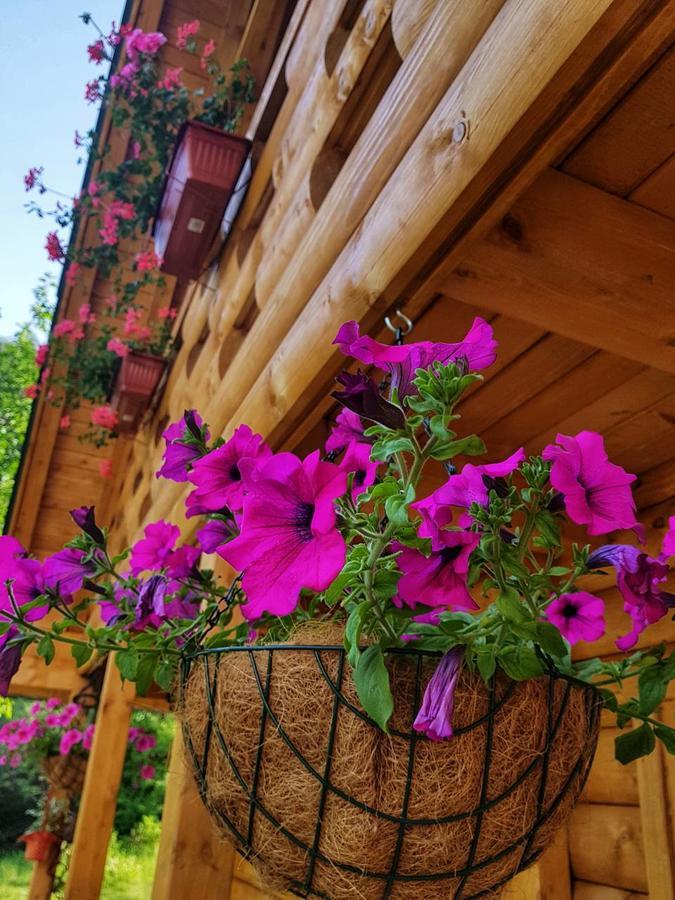 Villa Brvnara Borovik Cetinje Exterior foto