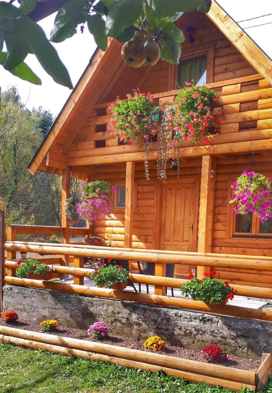Villa Brvnara Borovik Cetinje Exterior foto